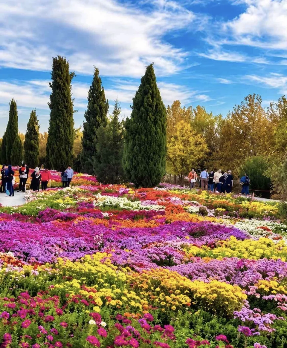 دورهمی پاییزی اکوسفر