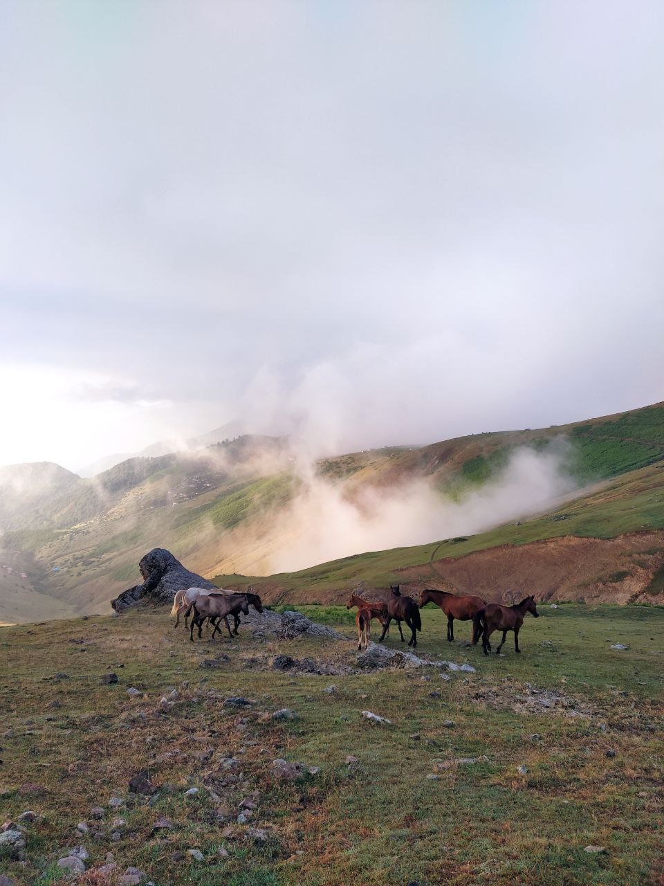 بکرگردی در ییلاقات شاندرمن