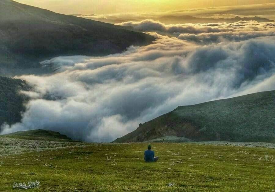 تور سافاری جواهردشت