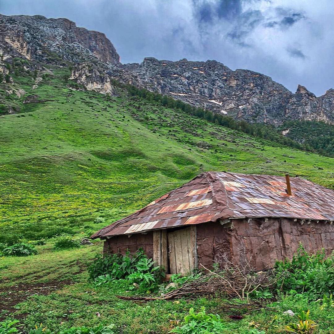 کمپ خرونرو، آلپ ایران