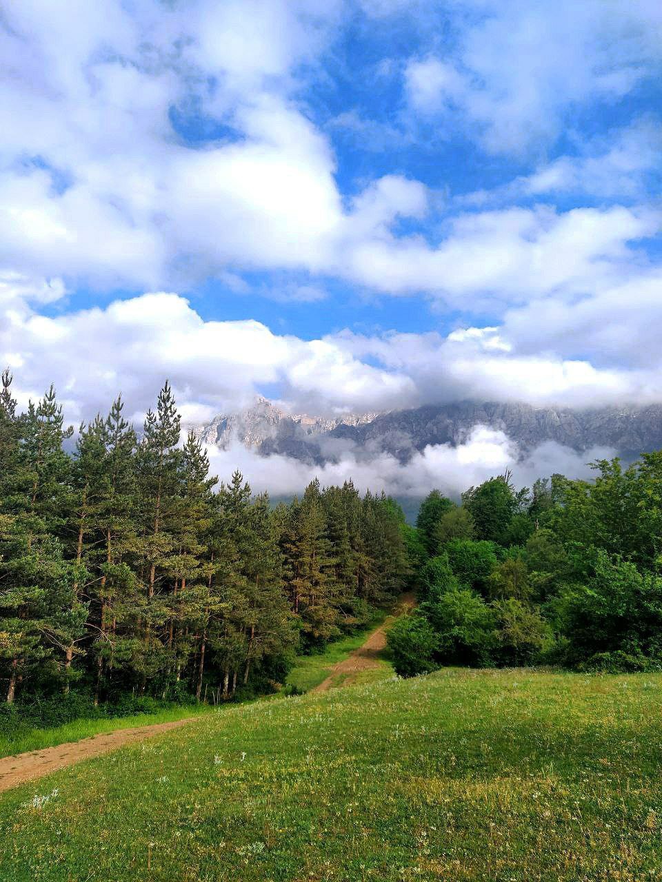 ترکینگ دامنه‌های آلپ ایران