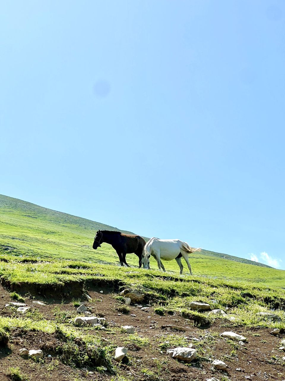 تور بکرگردی در ماسال