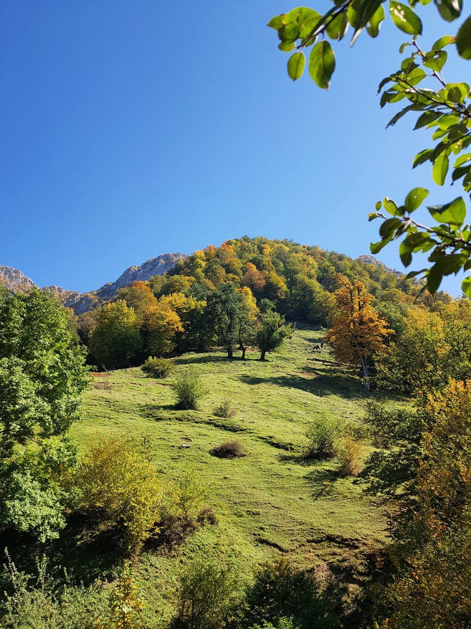 پیمایش جنگلی اُپرت تا بولا