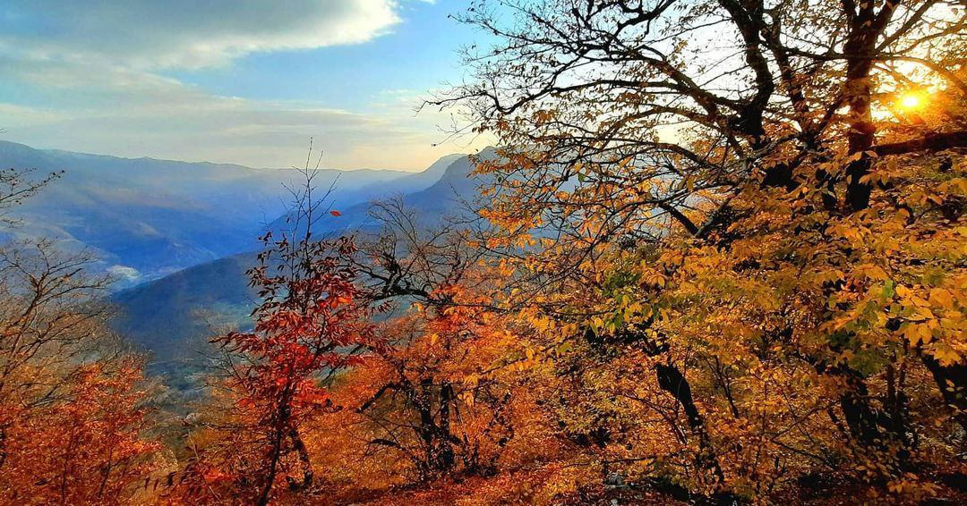 سفر یک روزه جنگل نوردی ارفع‌کوه