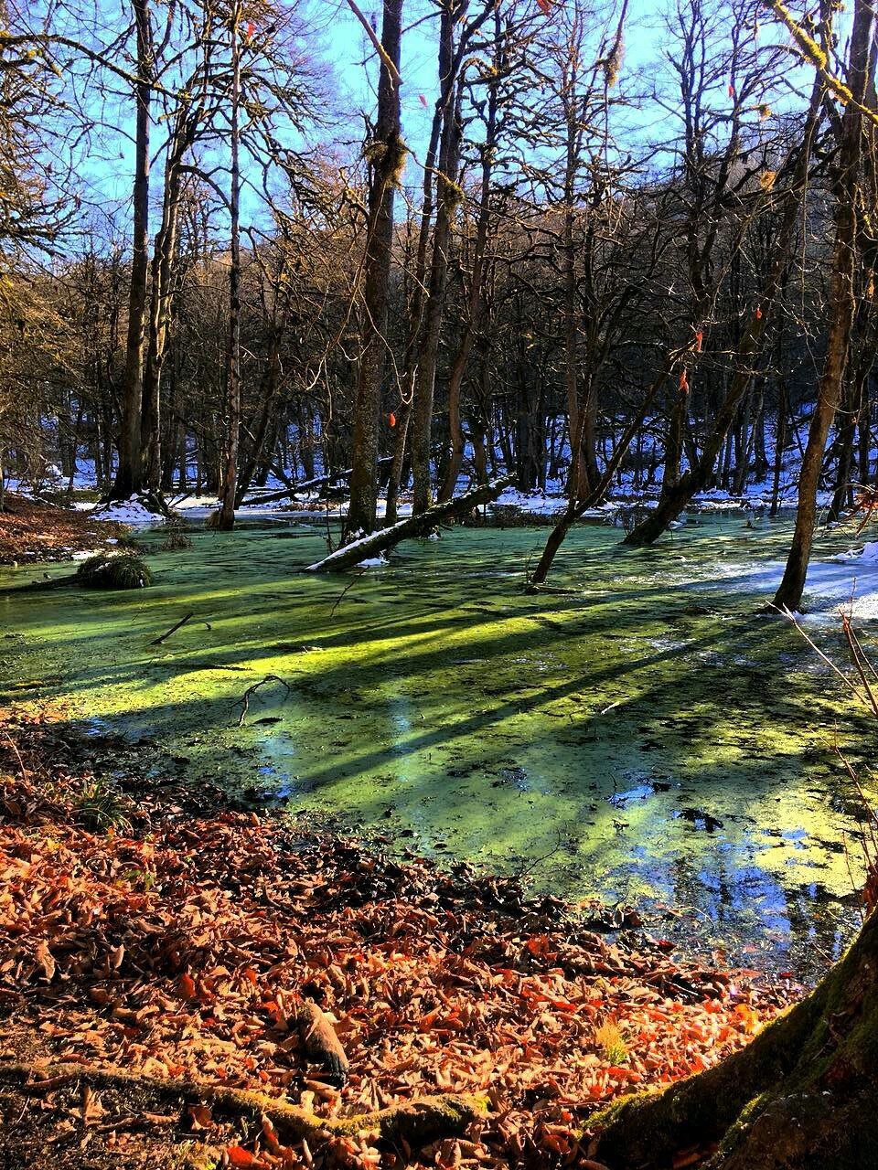 سفر یک روزه مرداب دیوک