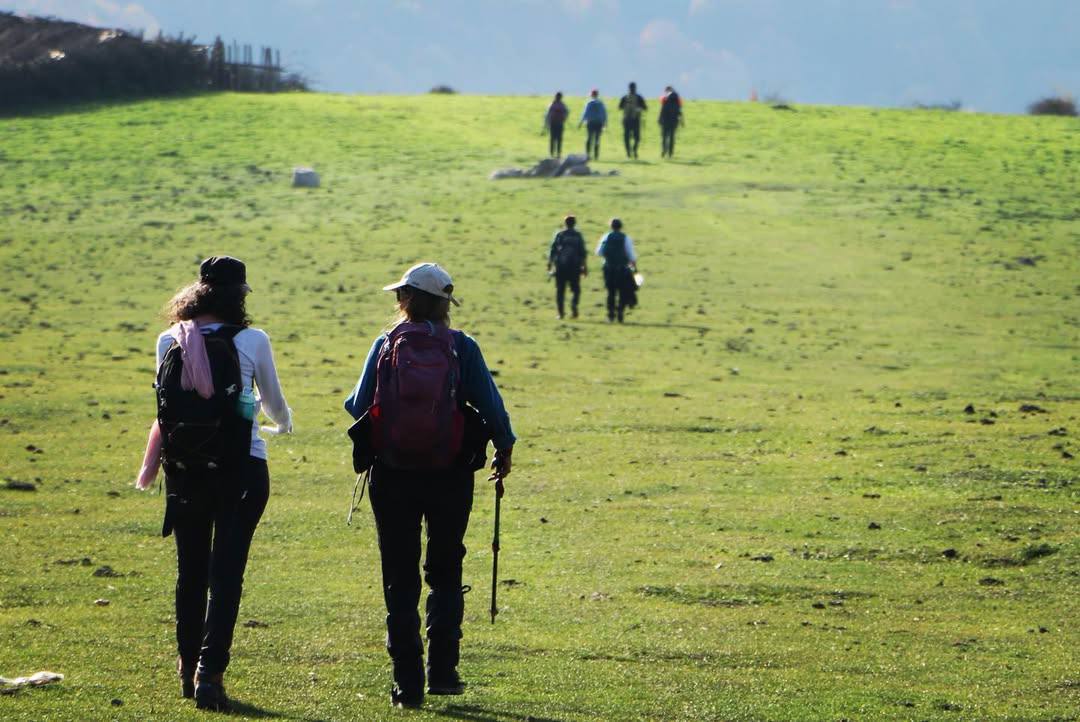 سفر یک روزه جنگل‌های کمرپشت